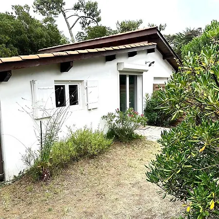 Cap Ferret Au Coeur Des 44 He Ref 221 Villa